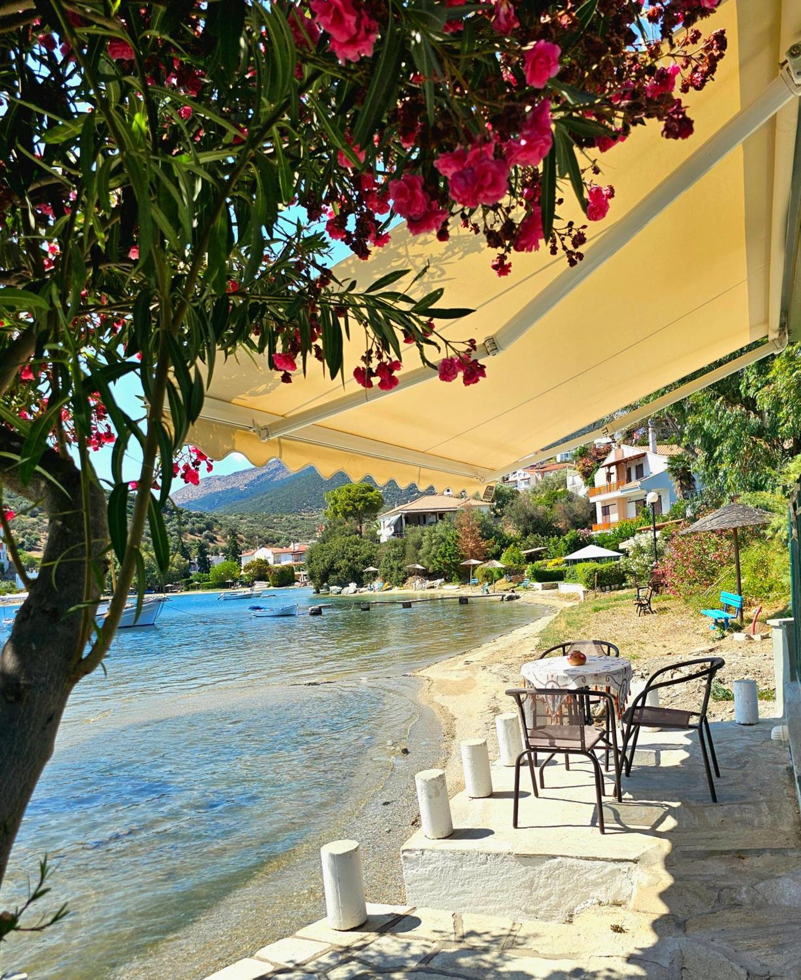 Polianthi Seaside House Villa Marathos  ภายนอก รูปภาพ